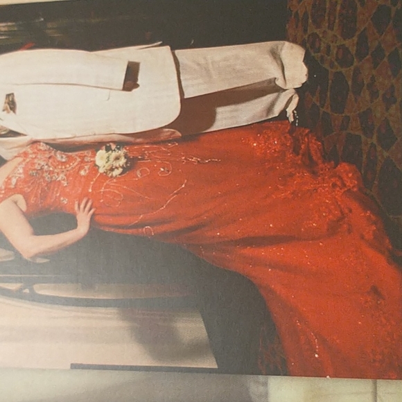 Beautiful Fancy Dress - Picture 3 of 9